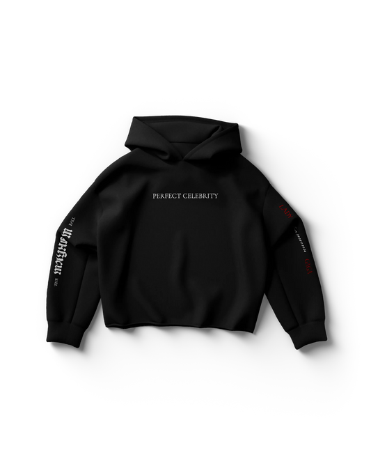 Lady Gaga Perfect Celebrity Black Hoodie Official Merch